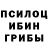 Псилоцибиновые грибы MAGIC MUSHROOMS tarik24
