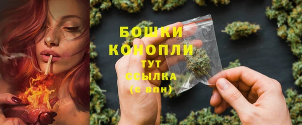 spice Новозыбков