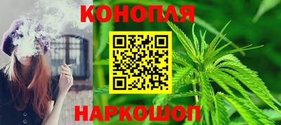 шишки Кандалакша