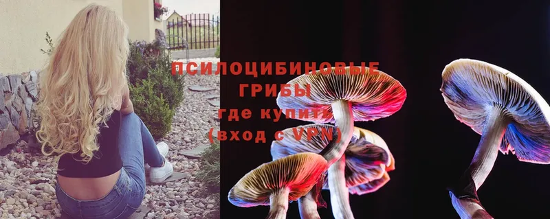 как найти закладки  Соликамск  Псилоцибиновые грибы Magic Shrooms 