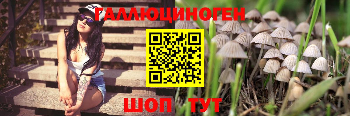 Псилоцибиновые грибы Psilocybine cubensis Соликамск